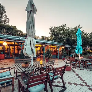 Island (adults Only) Auberge de jeunesse Budapest